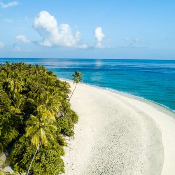 wide-shot-beach-trees-maldives-island